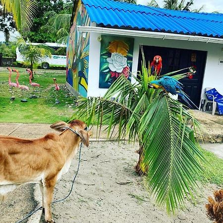 Hotel Casa Blanca Necocli Ngoại thất bức ảnh